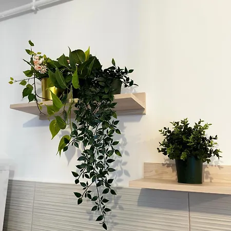 Evra Royal 2 Apartament