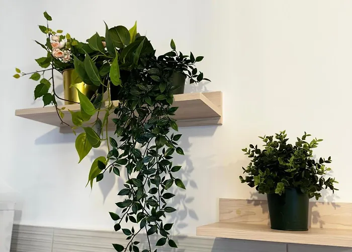 Evra Royal 2 Appartement